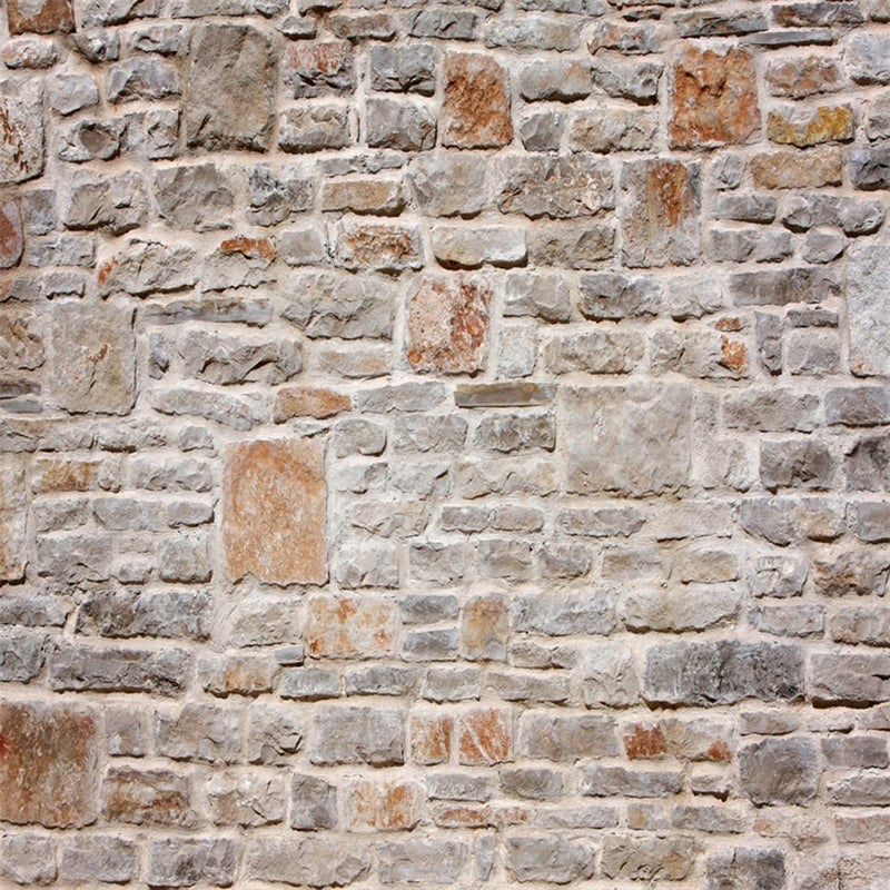 AOFOTO 10x10ft Artistic Backdrops Photography Background Old Stone Wall Hardwood Floors Toddler Newborn Boy Lovers Kid Adult Girl Portrait Scene Photo Shoot Studio Props Video - Image 1